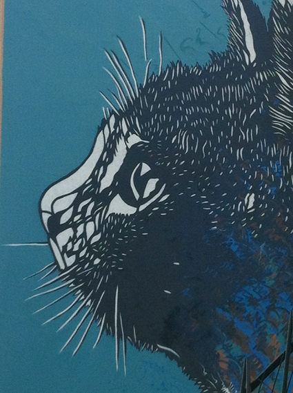 C215-le-chat